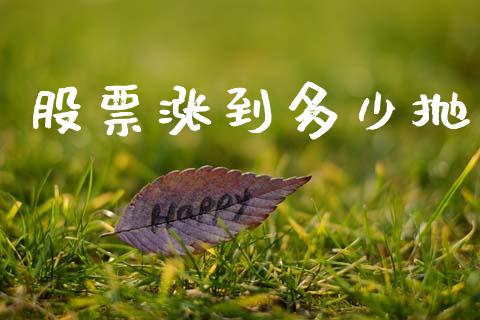 股票涨到多少抛_https://m.jnlaobingbanjia.com_基金市场_第1张