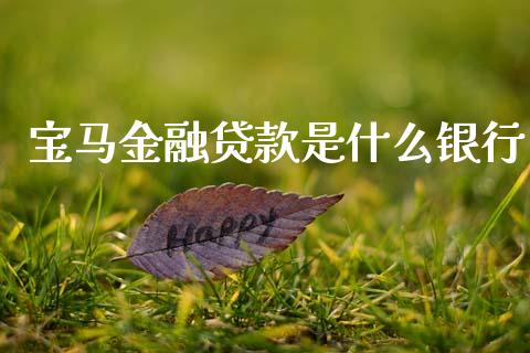 宝马金融贷款是什么银行_https://m.jnlaobingbanjia.com_股市新闻_第1张
