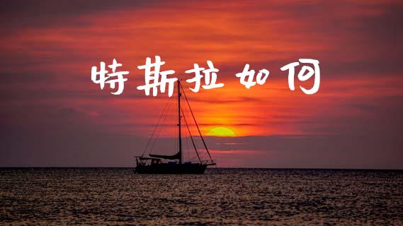 特斯拉如何_https://m.jnlaobingbanjia.com_股市新闻_第1张