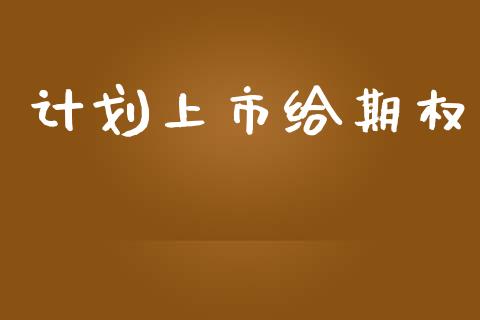 计划上市给期权_https://m.jnlaobingbanjia.com_股市新闻_第1张