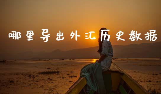 哪里导出外汇历史数据_https://m.jnlaobingbanjia.com_股市新闻_第1张