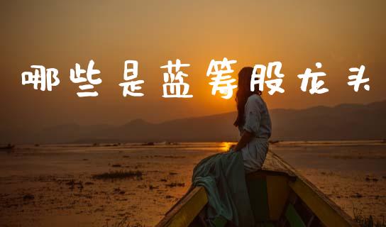 哪些是蓝筹股龙头_https://m.jnlaobingbanjia.com_金融监管_第1张