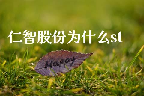 仁智股份为什么st_https://m.jnlaobingbanjia.com_基金市场_第1张
