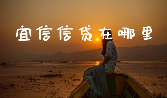 宜信信贷在哪里_https://m.jnlaobingbanjia.com_基金市场_第1张