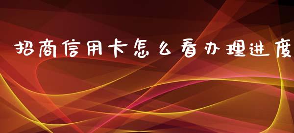 招商信用卡怎么看办理进度_https://m.jnlaobingbanjia.com_金融监管_第1张