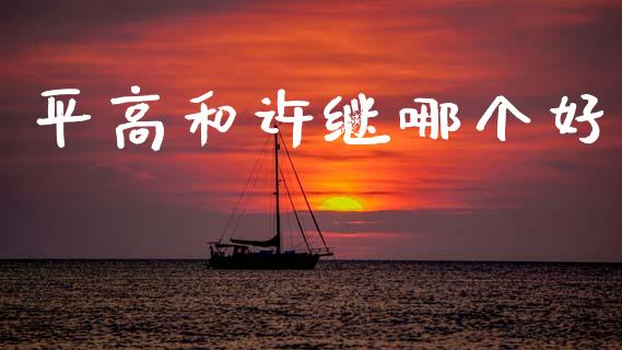 平高和许继哪个好_https://m.jnlaobingbanjia.com_金融监管_第1张