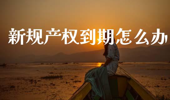 新规产权到期怎么办_https://m.jnlaobingbanjia.com_理财规划_第1张