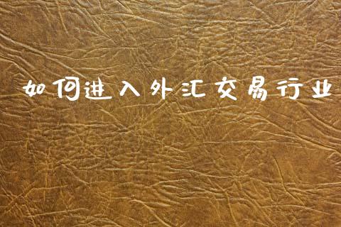 如何进入外汇交易行业_https://m.jnlaobingbanjia.com_基金市场_第1张