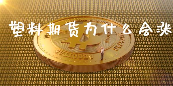 塑料期货为什么会涨_https://m.jnlaobingbanjia.com_金融监管_第1张