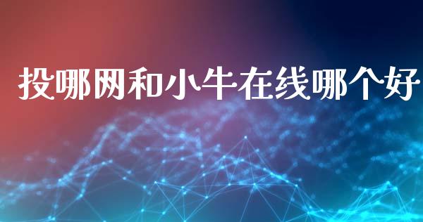 投哪网和小牛在线哪个好_https://m.jnlaobingbanjia.com_股市新闻_第1张