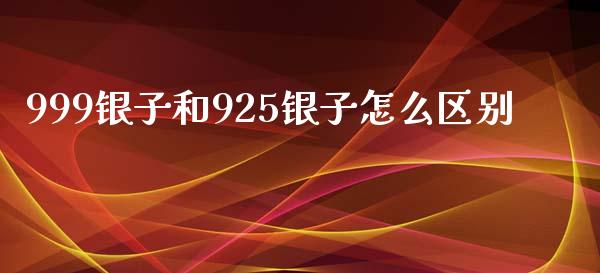 999银子和925银子怎么区别_https://m.jnlaobingbanjia.com_全球市场_第1张
