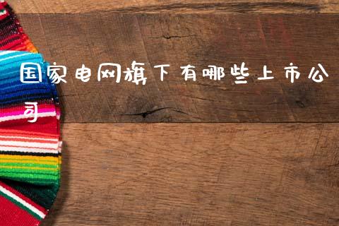 国家电网旗下有哪些上市公司_https://m.jnlaobingbanjia.com_全球市场_第1张