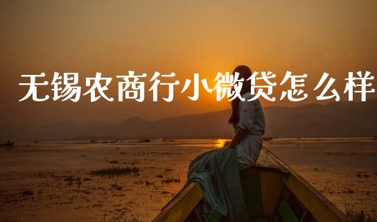无锡农商行小微贷怎么样_https://m.jnlaobingbanjia.com_理财规划_第1张
