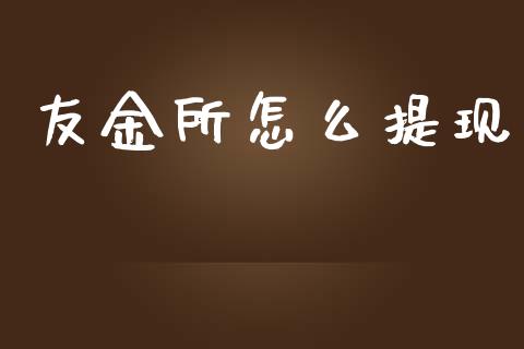 友金所怎么提现_https://m.jnlaobingbanjia.com_金融监管_第1张