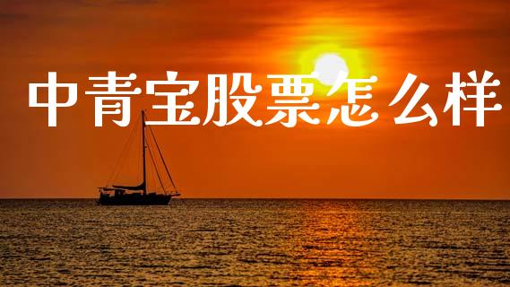 中青宝股票怎么样_https://m.jnlaobingbanjia.com_全球市场_第1张