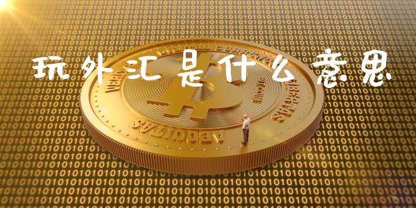 玩外汇是什么意思_https://m.jnlaobingbanjia.com_金融监管_第1张