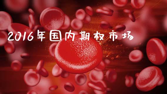 2016年国内期权市场_https://m.jnlaobingbanjia.com_股市新闻_第1张
