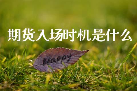 期货入场时机是什么_https://m.jnlaobingbanjia.com_基金市场_第1张