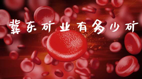 冀东矿业有多少矿_https://m.jnlaobingbanjia.com_金融监管_第1张