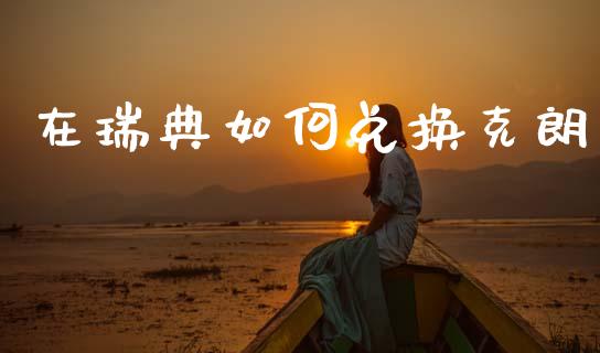 在瑞典如何兑换克朗_https://m.jnlaobingbanjia.com_理财规划_第1张