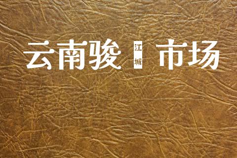 云南骏骐市场_https://m.jnlaobingbanjia.com_股市新闻_第1张