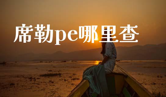 席勒pe哪里查_https://m.jnlaobingbanjia.com_基金市场_第1张