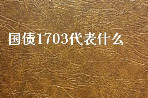 国债1703代表什么_https://m.jnlaobingbanjia.com_股市新闻_第1张