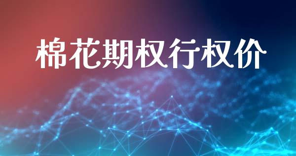 棉花期权行权价_https://m.jnlaobingbanjia.com_金融监管_第1张