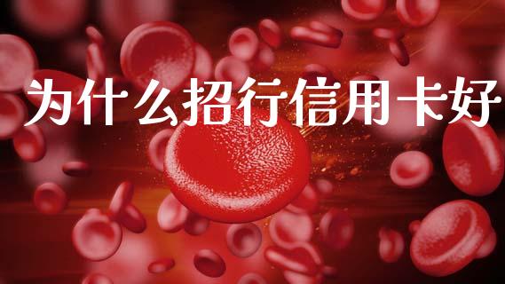 为什么招行信用卡好_https://m.jnlaobingbanjia.com_金融监管_第1张