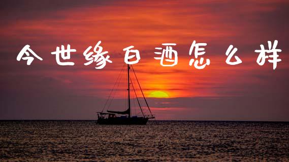 今世缘白酒怎么样_https://m.jnlaobingbanjia.com_全球市场_第1张