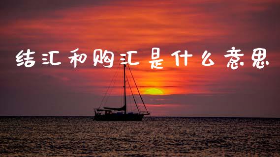 结汇和购汇是什么意思_https://m.jnlaobingbanjia.com_全球市场_第1张