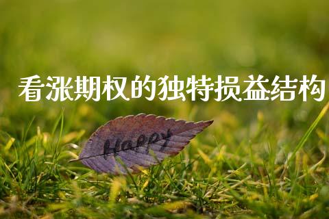 看涨期权的独特损益结构_https://m.jnlaobingbanjia.com_区块链_第1张