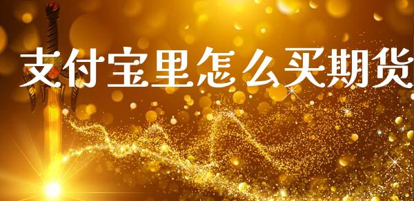 支付宝里怎么买期货_https://m.jnlaobingbanjia.com_股市新闻_第1张
