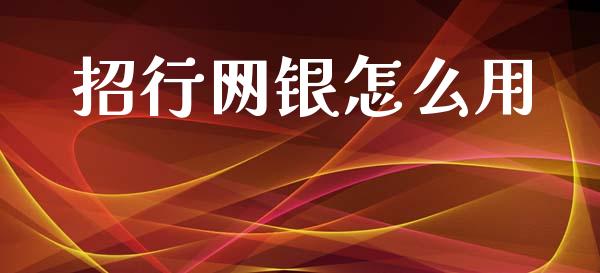招行网银怎么用_https://m.jnlaobingbanjia.com_股市新闻_第1张