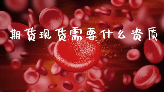 期货现货需要什么资质_https://m.jnlaobingbanjia.com_区块链_第1张