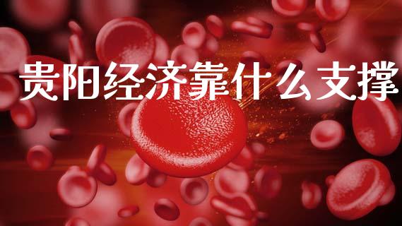 贵阳经济靠什么支撑_https://m.jnlaobingbanjia.com_理财规划_第1张