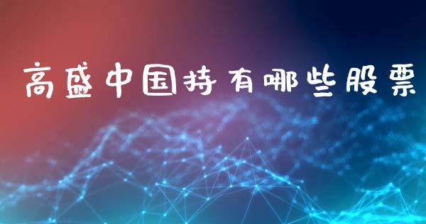 高盛中国持有哪些股票_https://m.jnlaobingbanjia.com_金融监管_第1张