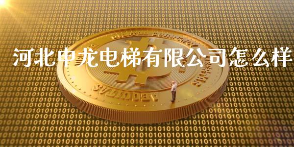 河北申龙电梯有限公司怎么样_https://m.jnlaobingbanjia.com_理财规划_第1张