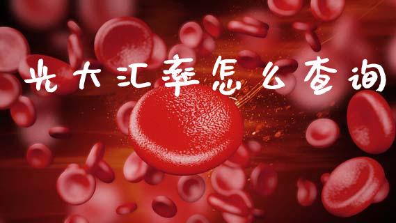 光大汇率怎么查询_https://m.jnlaobingbanjia.com_股市新闻_第1张