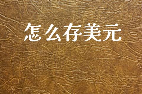 怎么存美元_https://m.jnlaobingbanjia.com_股市新闻_第1张