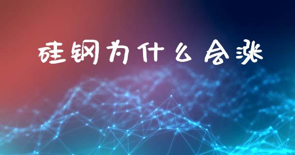 硅钢为什么会涨_https://m.jnlaobingbanjia.com_基金市场_第1张
