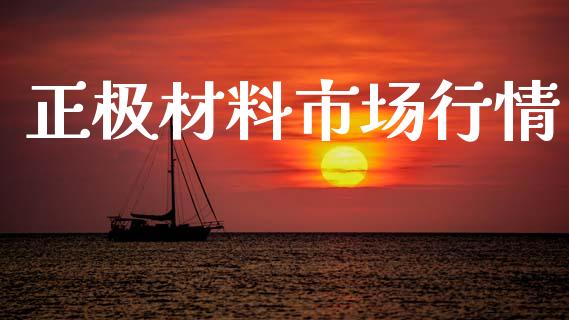 正极材料市场行情_https://m.jnlaobingbanjia.com_理财规划_第1张