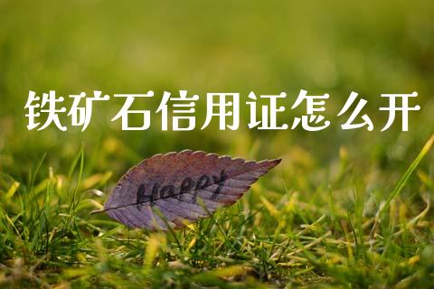 铁矿石信用证怎么开_https://m.jnlaobingbanjia.com_全球市场_第1张