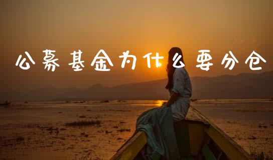 公募基金为什么要分仓_https://m.jnlaobingbanjia.com_区块链_第1张