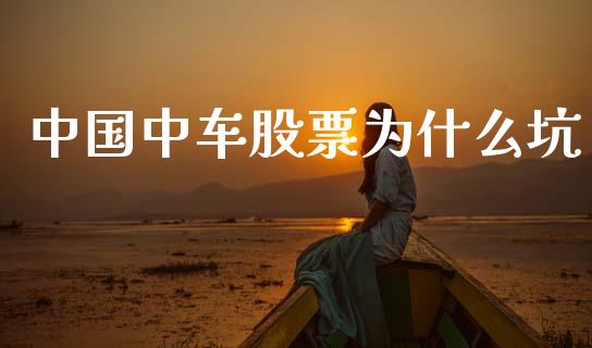 中国中车股票为什么坑_https://m.jnlaobingbanjia.com_理财规划_第1张