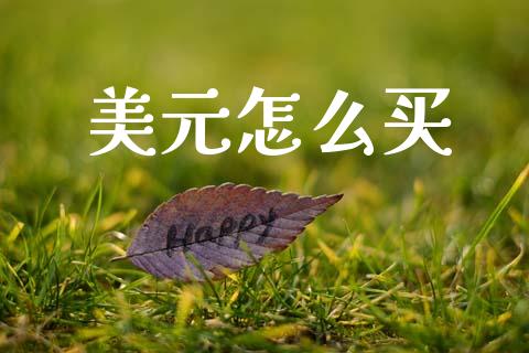 美元怎么买_https://m.jnlaobingbanjia.com_基金市场_第1张