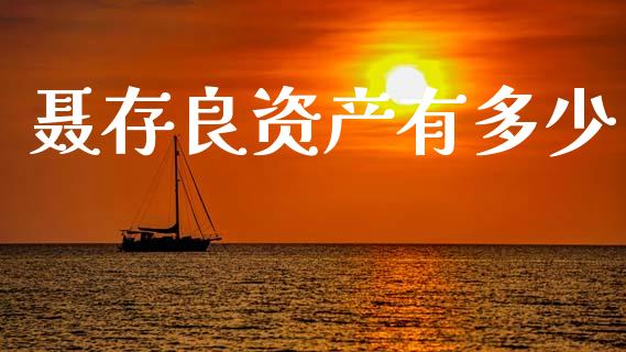 聂存良资产有多少_https://m.jnlaobingbanjia.com_基金市场_第1张
