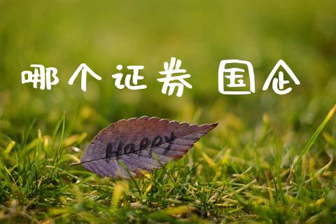 哪个证券 国企_https://m.jnlaobingbanjia.com_金融监管_第1张