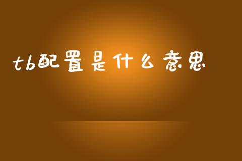tb配置是什么意思_https://m.jnlaobingbanjia.com_金融监管_第1张