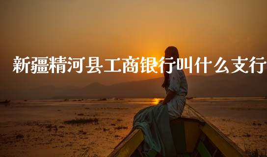 新疆精河县工商银行叫什么支行_https://m.jnlaobingbanjia.com_理财规划_第1张